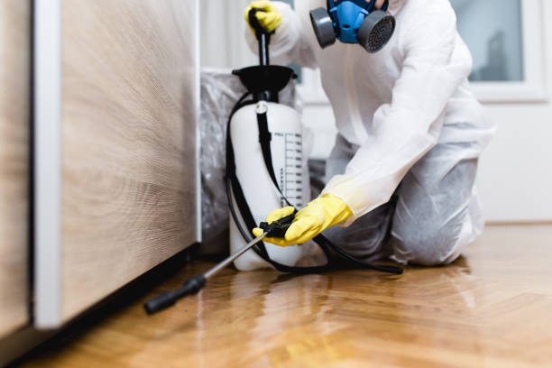 Best Insect Control  in Sur Hill, GA
