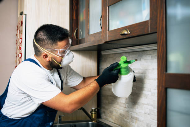 Best Local Pest Control Services  in Sur Hill, GA