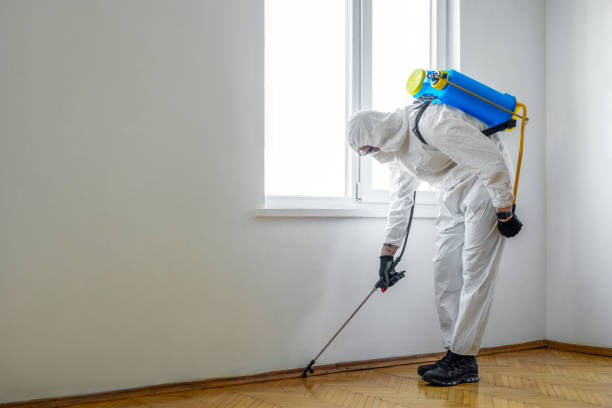 Best Residential Pest Control  in Sur Hill, GA