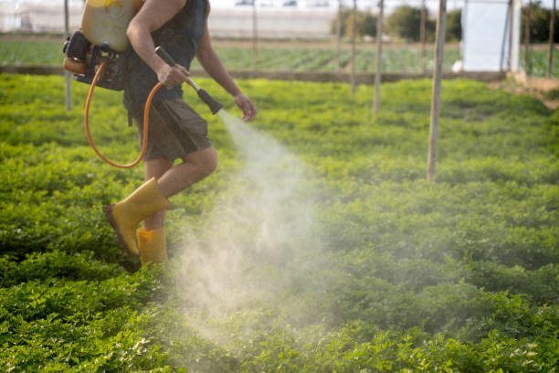 Best Mosquito Control Services  in Sur Hill, GA