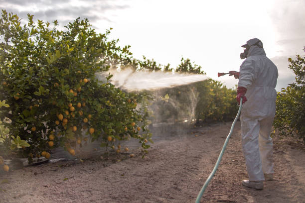 Best Mosquito Control Services  in Sur Hill, GA
