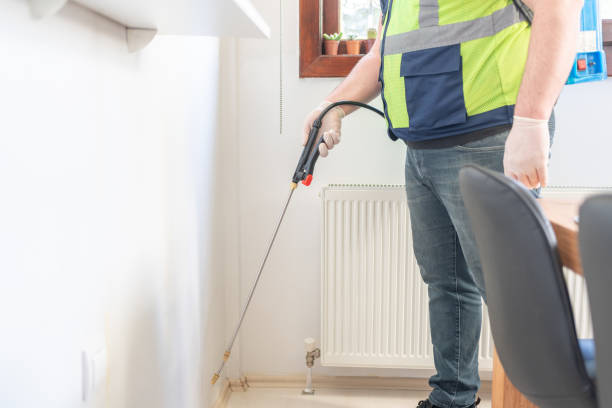 Flea Control Services in Sugar Hill, GA