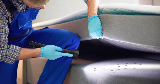 Best Affordable Pest Control Services  in Sur Hill, GA