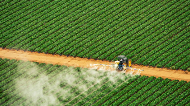 Pest Control for Restaurants in Sugar Hill, GA