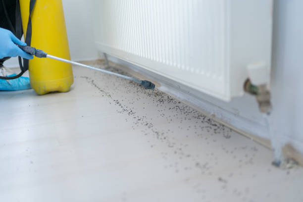 Professional Pest Control in Sugar Hill, GA